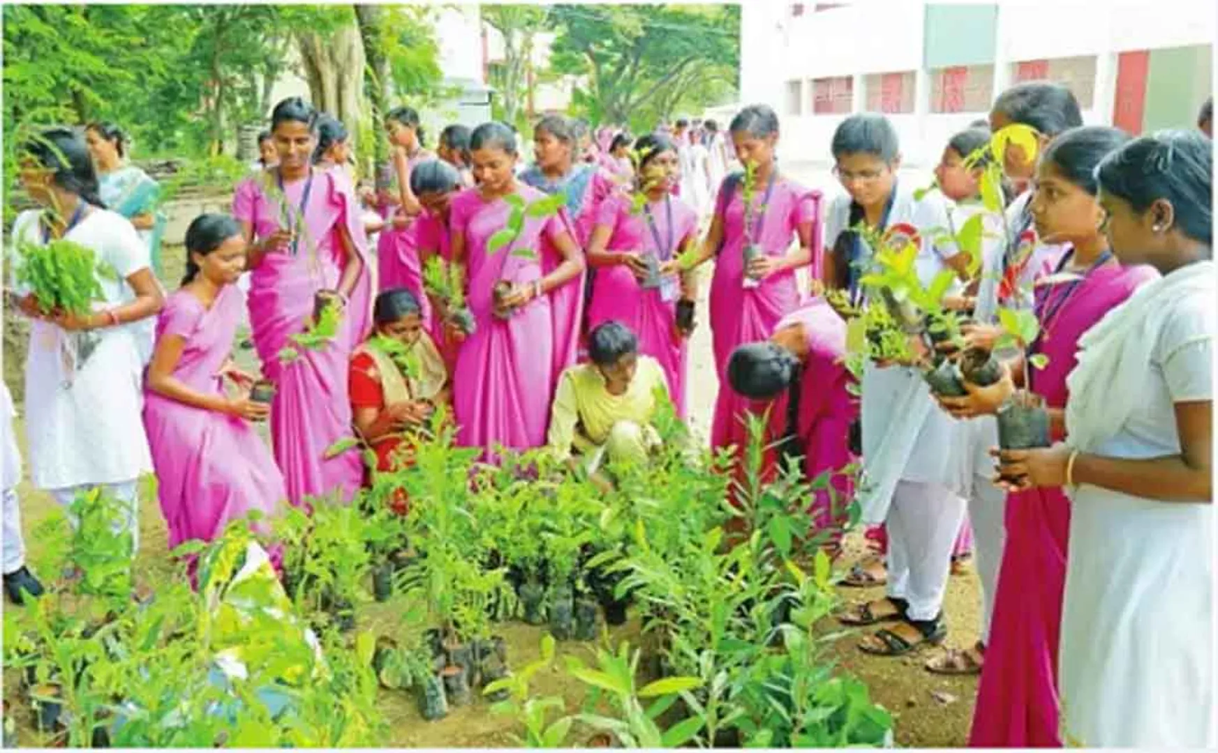 one student one tree